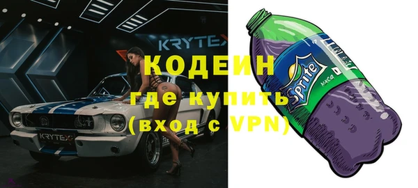 метадон Богданович