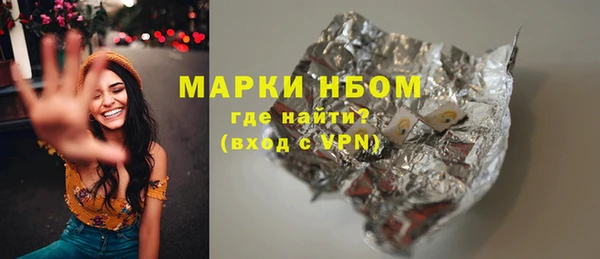 метадон Богданович