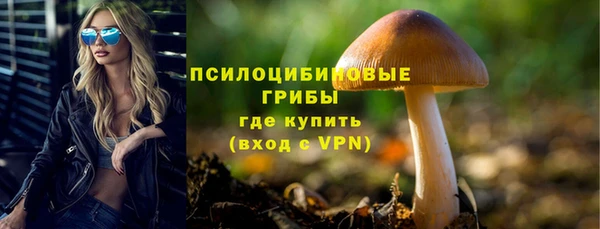 MESCALINE Богородицк