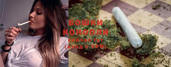 метадон Богданович