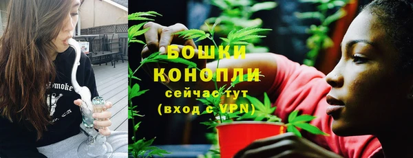 твердый Тобольск